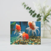 Carte Postale Go Fish (Debout devant)