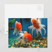 Carte Postale Go Fish (Devant / Derrière)