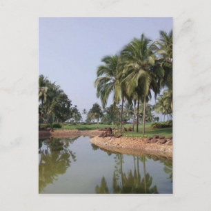 Carte Postale Goa Inde