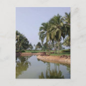 Carte Postale Goa Inde (Devant)