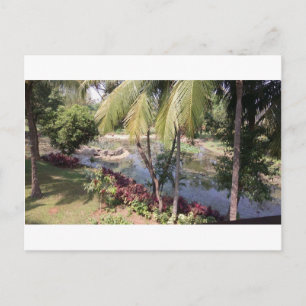 Carte Postale Goa India Garden