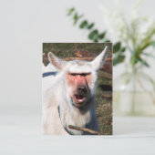 Carte Postale Goaboon (Debout devant)