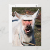 Carte Postale Goaboon (Devant / Derrière)