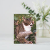 Carte postale Goacat (Debout devant)