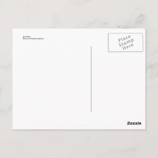 Carte Postale Goat Duo (Dos)