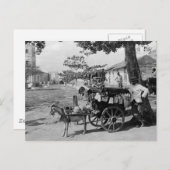 Carte Postale Goat Wagon Peddler, Cuba : 1920 (Devant / Derrière)
