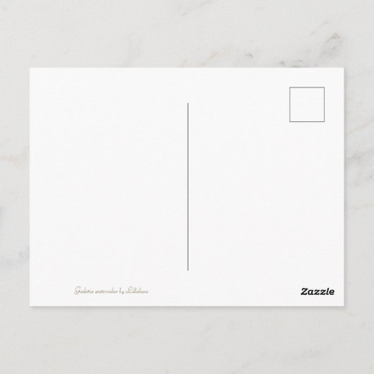 Carte Postale Godetia (Dos)