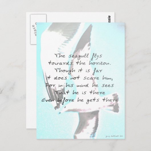 Carte Postale Goéland (Devant / Derrière)