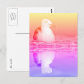 Carte Postale Goéland argenté avec une grande réflexion sur l'ea (Devant / Derrière)