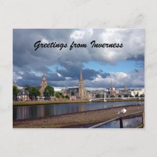 Carte Postale goéland de salutation inverness