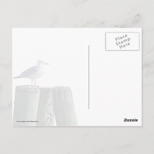 Carte Postale Goéland sur pilotis (Dos)