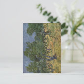 Carte Postale Gogh, Vincent van Olivenhain 1889 Technique ? l au (Debout devant)