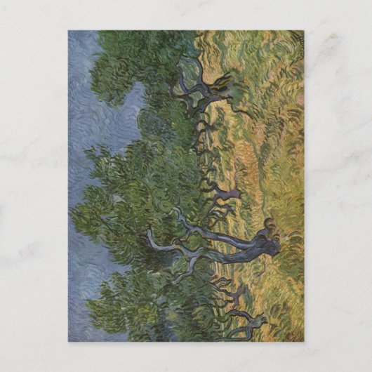 Carte Postale Gogh, Vincent van Olivenhain 1889 Technique ? l au (Devant)