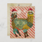 Carte postale Gold Alpaca & Chouette Turquoise Chr (Devant / Derrière)