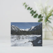 Carte Postale Gold Creek (Debout devant)