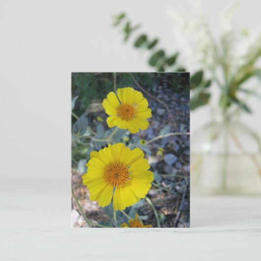 Carte Postale Gold du désert (Debout devant)