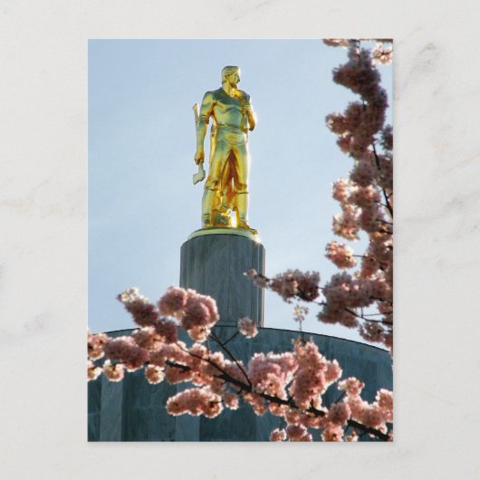 Carte Postale Gold Man (Devant)