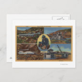 Carte Postale Gold Mining en Californie - Quarz, Dredge (Devant / Derrière)