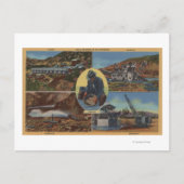 Carte Postale Gold Mining en Californie - Quarz, Dredge (Devant)