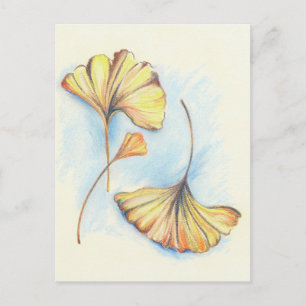 Carte Postale Golden Autumn Ginkgo