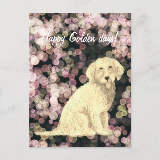 Carte postale Golden Doodle (Devant)