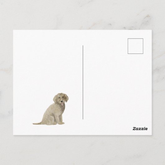 Carte postale Golden Doodle (Dos)