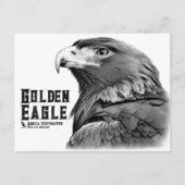 Carte Postale Golden Eagle (Devant)
