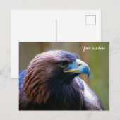 Carte postale Golden Eagle (Devant / Derrière)