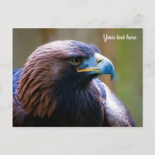 Carte postale Golden Eagle (Devant)