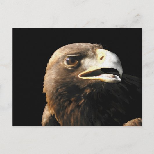Carte postale Golden Eagle Portrait (Devant)