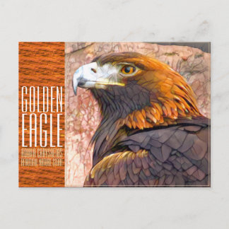 Carte Postale Golden Eagle [Postcard]