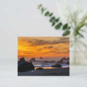Carte Postale Golden Harris Beach Sunset - Oregon (Debout devant)