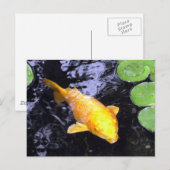 Carte postale Golden Koi Fish Photo (Devant / Derrière)
