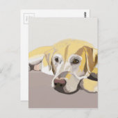 Carte Postale Golden Labrador (Devant / Derrière)