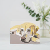 Carte Postale Golden Labrador (Debout devant)