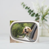 Carte Postale Golden Labrador En Réarview Mirror (Debout devant)