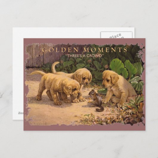 Carte Postale GOLDEN MOMENTS-Trois une foule (Devant / Derrière)