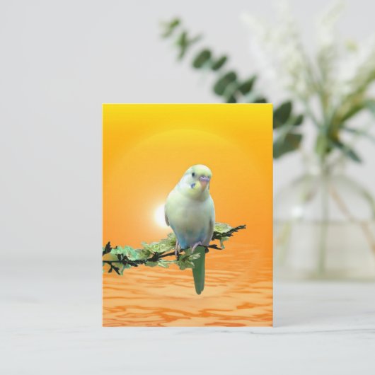 Carte Postale Golden Parakee (Debout devant)