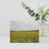 Carte Postale Golden Ragwort, Ohio (Debout devant)