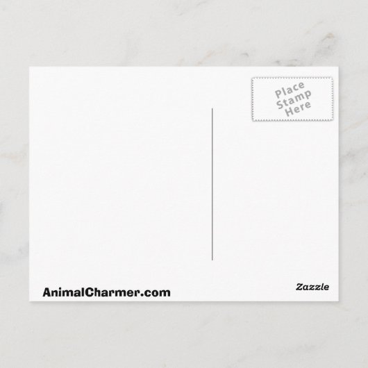 Carte Postale Golden Retriever (Dos)