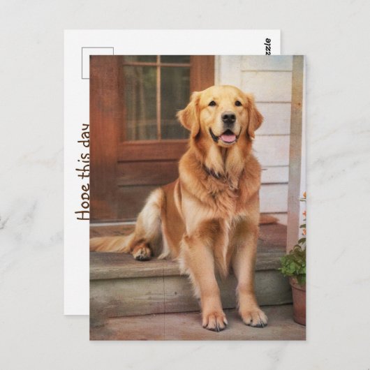 Carte Postale Golden Retriever (Devant / Derrière)
