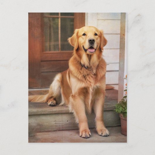 Carte Postale Golden Retriever (Devant)