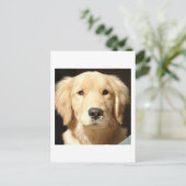 Carte Postale Golden Retriever (Debout devant)