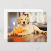 Carte Postale Golden Retriever (Devant / Derrière)