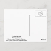 Carte Postale Golden Retriever (Dos)