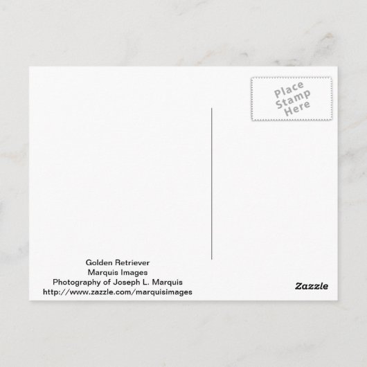 Carte Postale Golden Retriever (Dos)