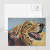 Carte Postale Golden Retriever (Devant / Derrière)
