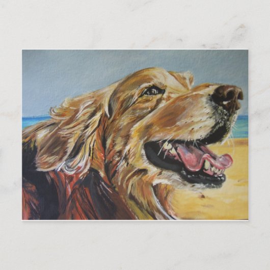 Carte Postale Golden Retriever (Devant)