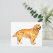 Carte Postale Golden Retriever (Debout devant)