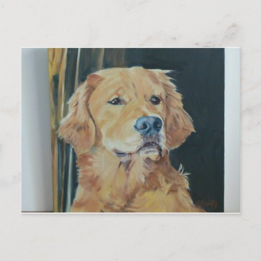 Carte Postale Golden Retriever (Devant)